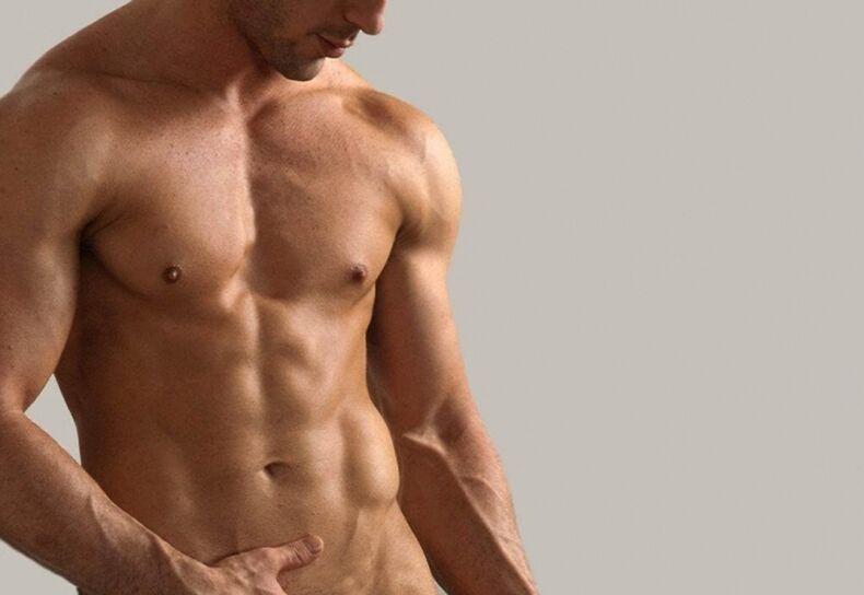 Male body
