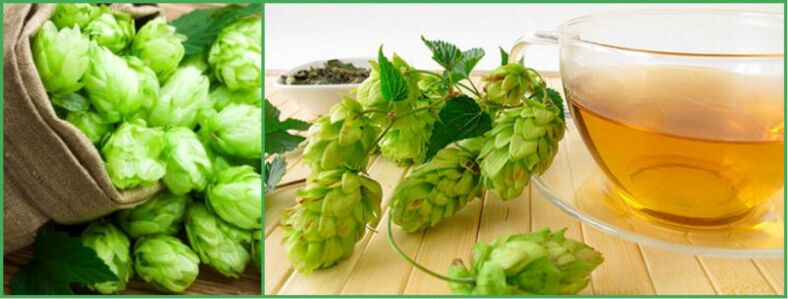 decoction of hop cones to increase potency after 50