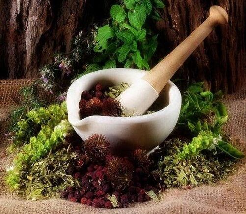 Medicinal herbs that will help increase vitality in men